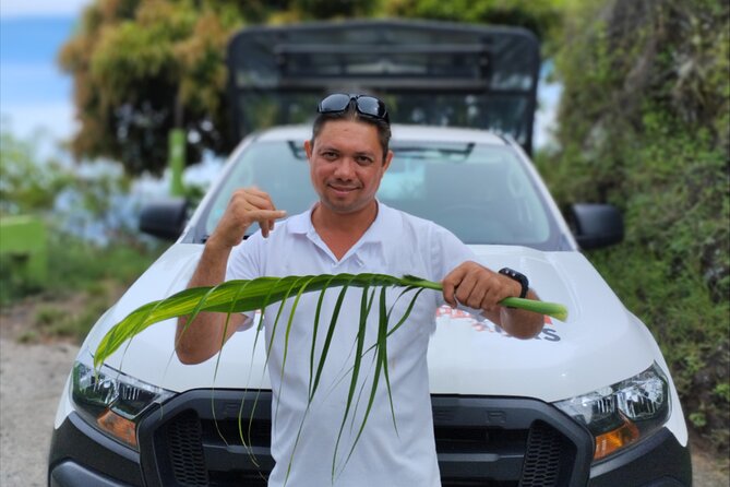 Guided Excursion in 4x4 in Moorea between Land and Sea - Magic Mountain Starts the Day With Big Views