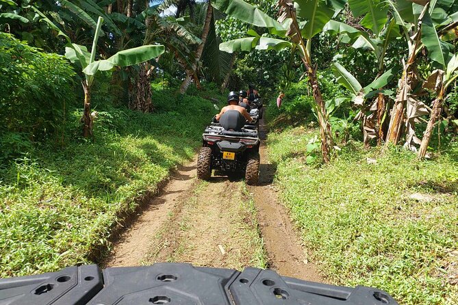 Guided tour of the island and its escapades in Tahaa by Quad / ATV - Love Here Pearl Farm and the life of a pearl