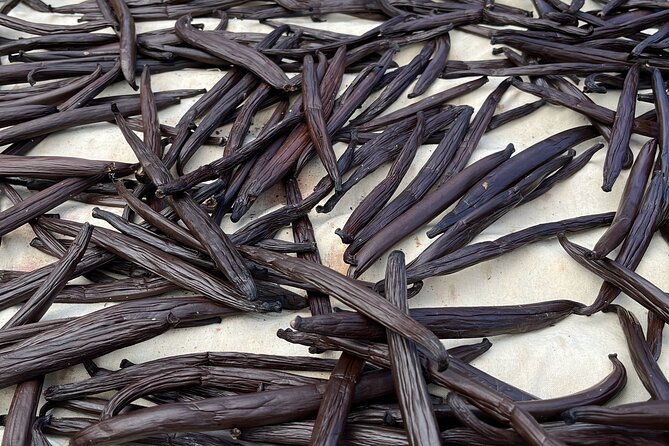 Guided tour of the island of Tahaa with Revanui Excursions - Vanilla Prod gives Tahaa its signature scent