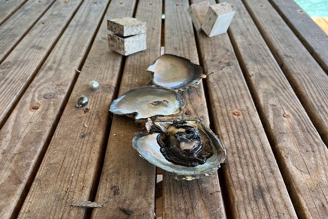 Guided tour of the island of Tahaa with Revanui Excursions - A pearl farm explains French Polynesia’s black pearls