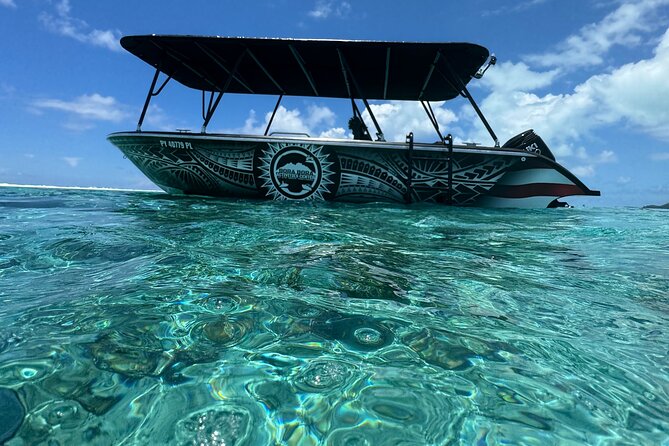 Half day Eco Snorkeling small group Tour in Bora Bora - Why three hours works well in Bora Bora