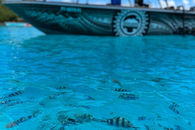 Half day Eco Snorkeling small group Tour in Bora Bora - A local crew and a genuinely small-group feel