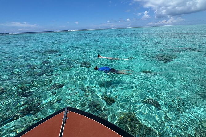 Half day Eco Snorkeling small group Tour in Bora Bora - What the boat ride is really like
