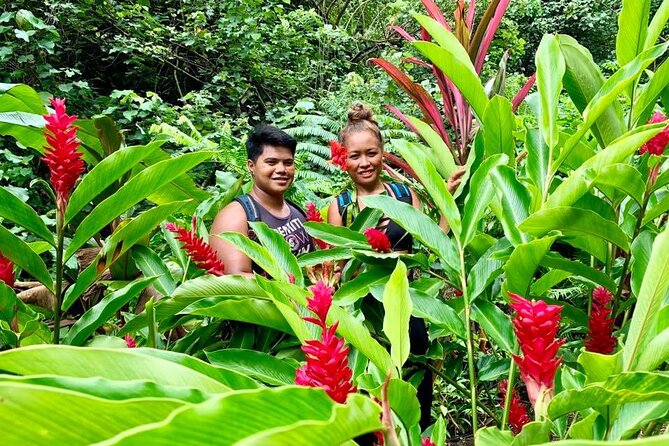 Half-Day Guided Hike to Afareaitu Waterfall - Walking into Moorea’s valley of gods and kings