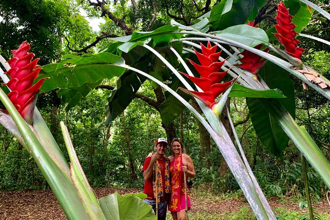 Half-Day Guided Hike to Afareaitu Waterfall - Reaching the Afareaitu waterfall