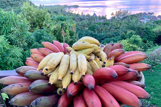 Half-Day Guided Hike to Afareaitu Waterfall - Is $97.17 a fair price?