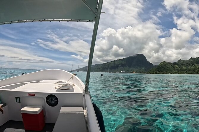 Half-Day Humpback Whales Encounter in Moorea - Respecting mothers, calves, and wild behavior