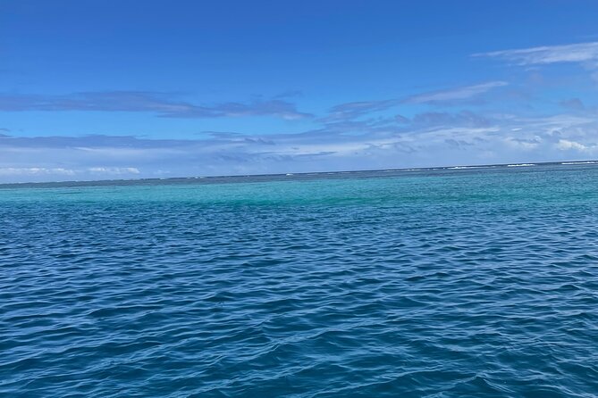 Half-Day Humpback Whales Encounter in Moorea - The crew, safety, and local character