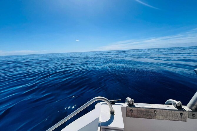 Half-Day Humpback Whales Encounter in Moorea - Is $236.85 a fair price?
