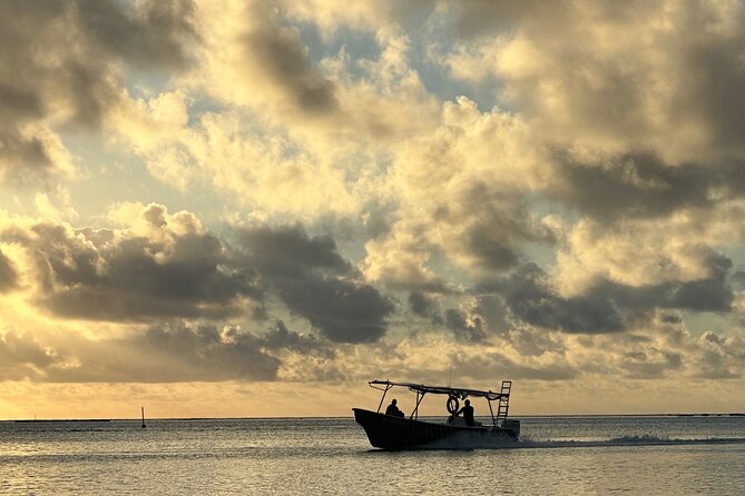 Half-Day Humpback Whales Encounter in Moorea - Who should book this experience?