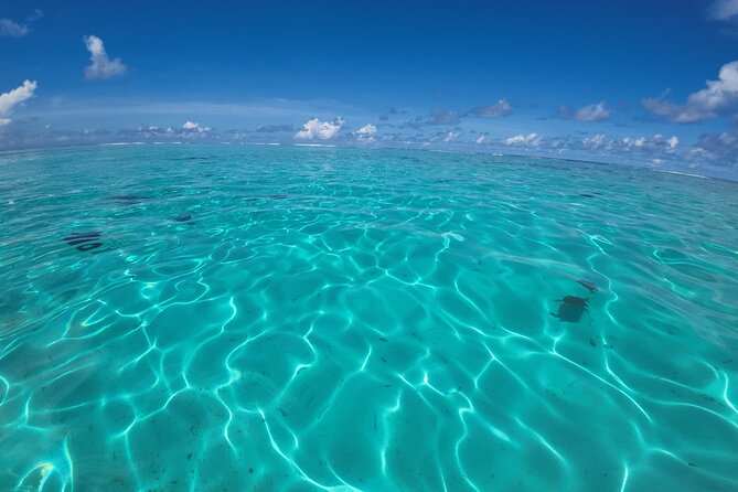 Half Day Private Boat Snorkeling Excursion Moorea - Why a private boat changes the Moorea experience