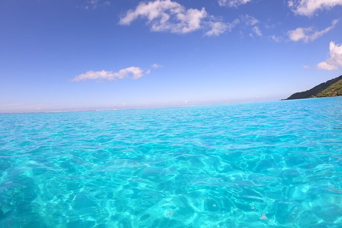Half Day Private Boat Snorkeling Excursion Moorea - Tiahura turtles and the calm pleasure of watching