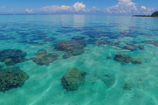 Half Day Private Boat Snorkeling Excursion Moorea - The submerged tiki and coral garden