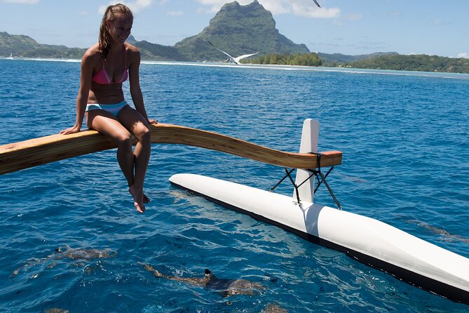 Half Day Private Lagoon Snorkeling Experience - Why this four-hour lagoon trip works