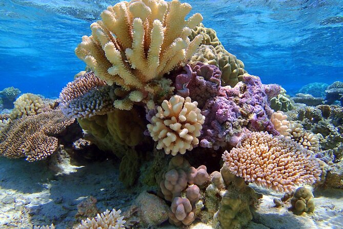 Half Day Private Lagoon Snorkeling Experience - Mount Otemanu from every angle