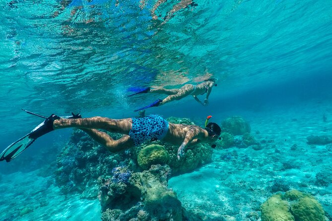 Half Day Private Lagoon Snorkeling Experience - Starting at 9:00 am with hotel pickup