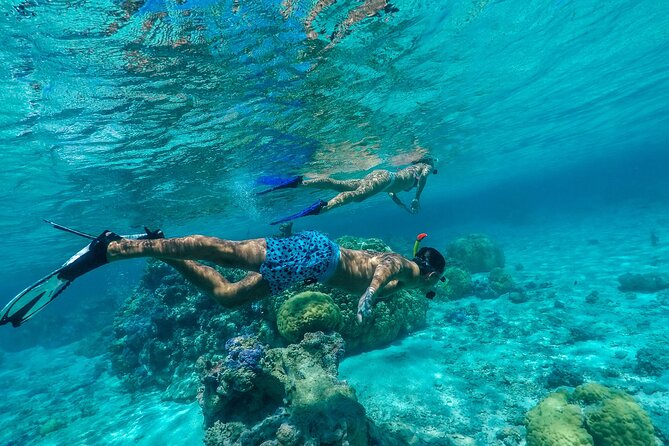 Half-Day Private Luxury Tour from Bora Bora - Why a private boat changes the Bora Bora experience