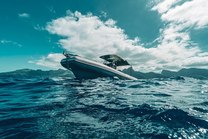 Half Day Private Whale Watching in Moorea - What the wildlife rules mean for your day