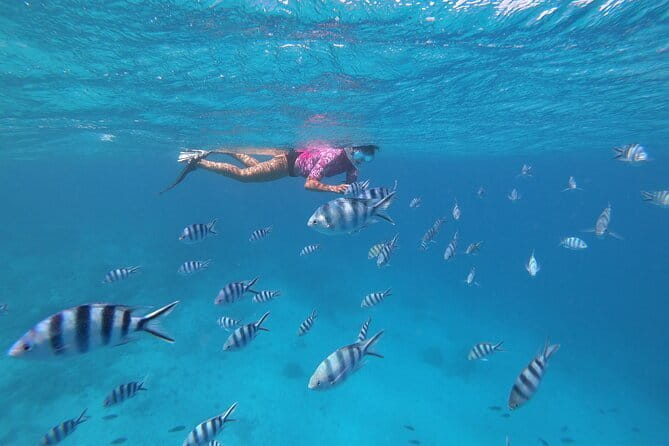 Half-Day Sailing Trip on the Lagoon of Tahiti Comments - How to prepare for the meeting point