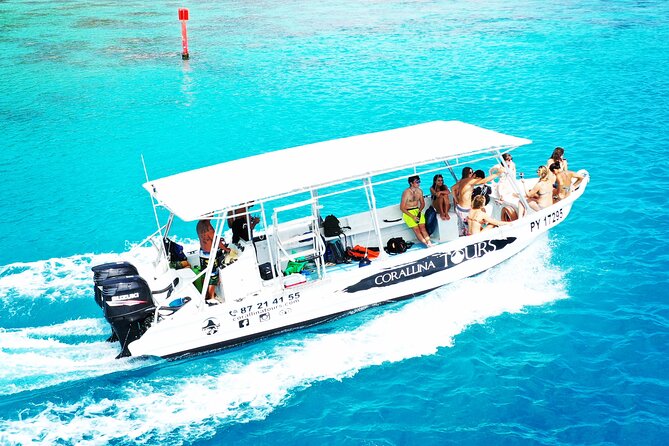 Half Day Snorkeling in Moorea - Key points at a glance