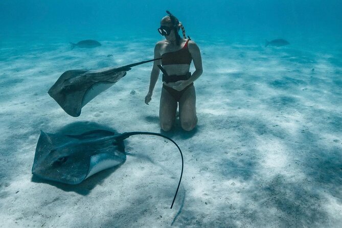 Half Day Snorkeling in Moorea - The coral garden and colorful fish