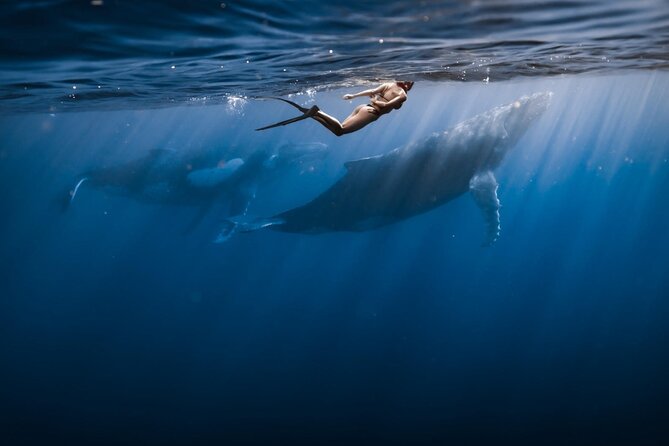 Half Day Snorkeling in Moorea - The finish: tropical fruit, drinks, and music