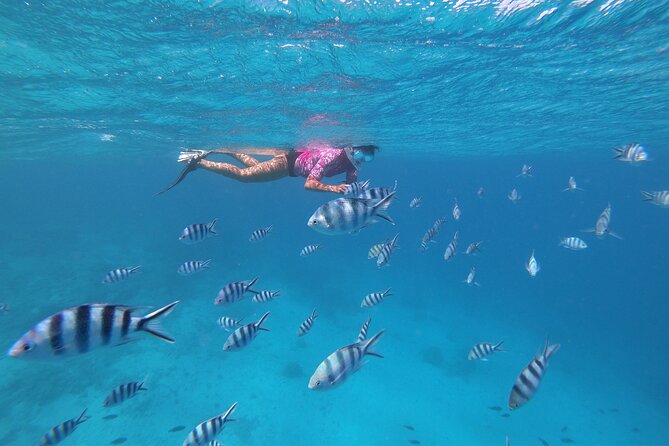 Half-Day Snorkeling Tour in Tahiti - Fruit, drinks, and the onboard meal