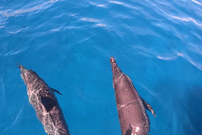 Half-Day Snorkeling Tour in Tahiti - The boat ladder deserves serious attention