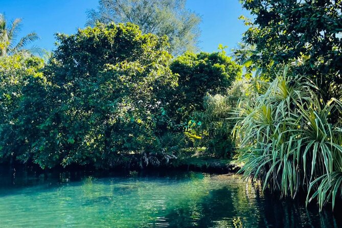 Half day Tahiti Peninsula and Teahupoo boat tour (shared boat) - Walking through the mape forest at Vaipoiri River