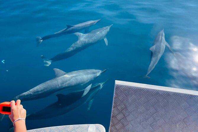 Half day Tahiti Peninsula and Teahupoo boat tour (shared boat) - Is $255.07 per person a fair price?