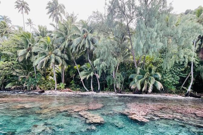 Half day Tahiti Peninsula and Teahupoo boat tour (shared boat) - Meeting at Teahupoo at 9:00 a.m.