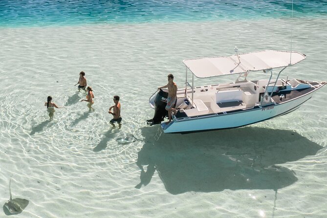 Half Day Tour lagoon discovery marine fauna flora small group - Turtles and leopard rays finish the wildlife circuit