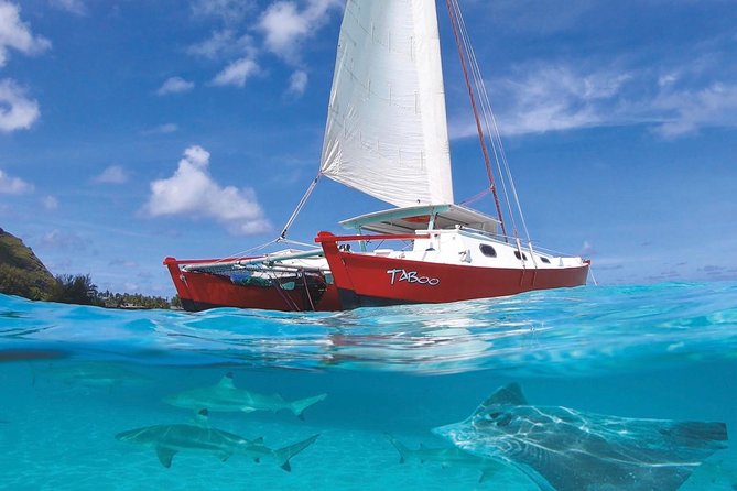 Half Day Tour : Moorea Snorkeling & Sailing on a Catamaran named Taboo - Key points before you book