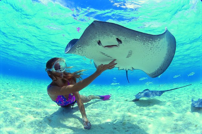 Half Day Tour : Moorea Snorkeling & Sailing on a Catamaran named Taboo - Sailing, motoring, and the weather question