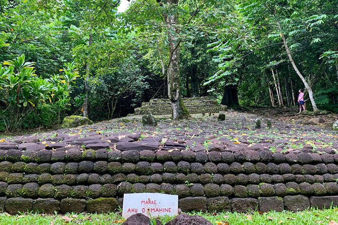 Half-Day Tour of Moorea Island in a Small Group - What this half-day Moorea tour is really like