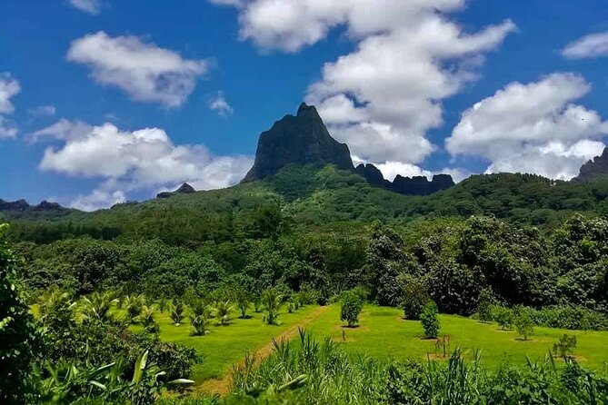 Half-Day Tour of Moorea Island in a Small Group - The guide can make or break the morning