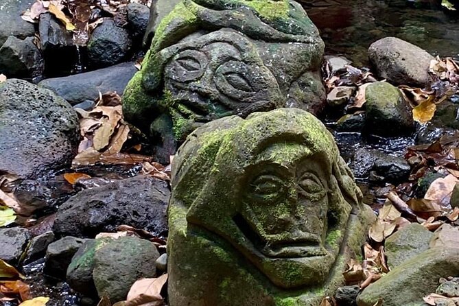 Half-Day Tour of Moorea Island in a Small Group - The vehicle question: comfort or open-air adventure?
