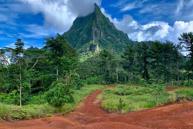 Half-Day Tour of Moorea Island in a Small Group - Belvedere Lookout and the view between two bays