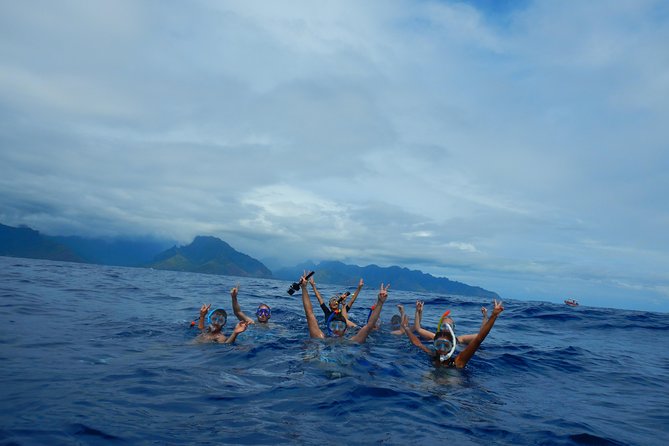 Half day whale tour 4h00 - The six-person water rule changes the experience