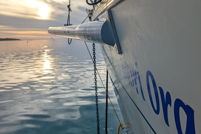 Half day whale watching - Without launch - Morning calm or a Polynesian sunset