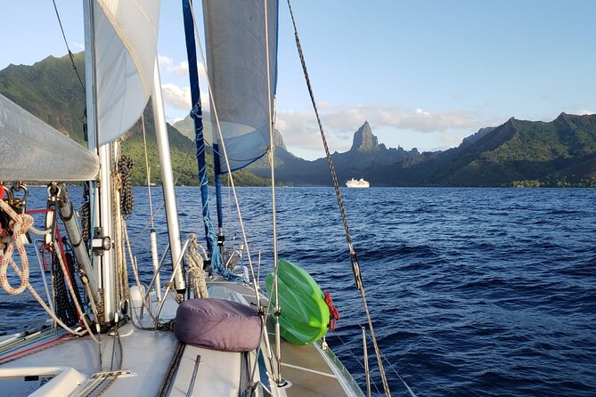 Half day whale watching - Without launch - What is included, and what you need to arrange