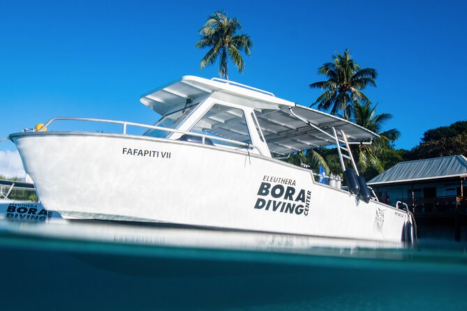Introductory Dive in Bora Bora (afternoon) - What the Fish and Reef Add to the Experience