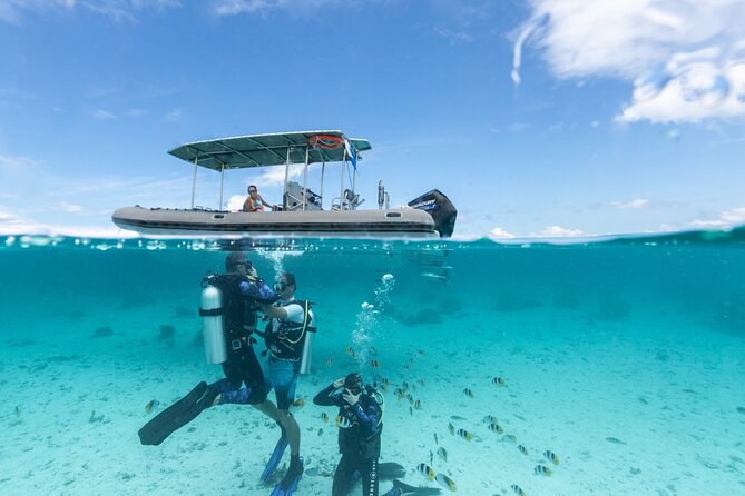 Introductory Scuba Diving Experience in Bora Bora - Key points at a glance