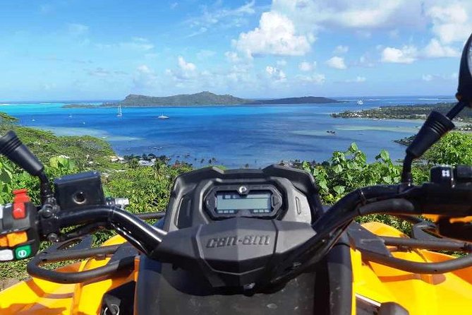 Introductory Scuba Diving Experience in Bora Bora - Marine life without a difficult descent