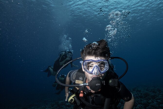Introductory Scuba Diving Experience in Bora Bora - Hotel pickup and the 1:30 pm start