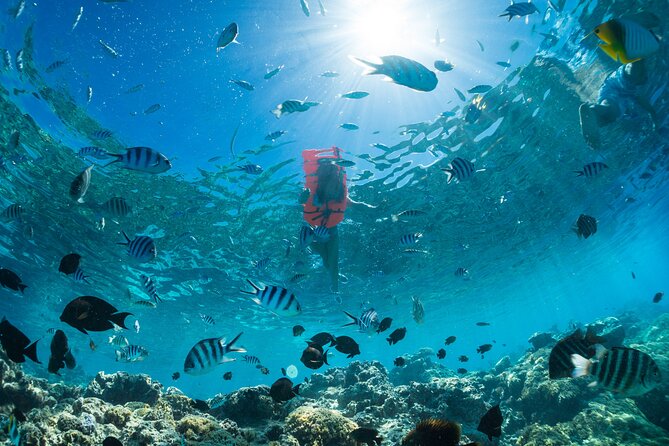 Keishi Tour Half Day Shared Excursion - What the $140 Price Buys You