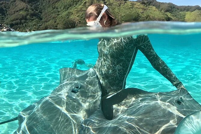Lagoon and Marine Wildlife Tour in Moorea - Key points at a glance