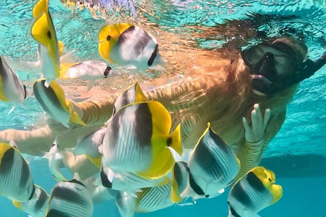 Lagoon and Marine Wildlife Tour in Moorea - Why a morning on Moorea’s lagoon works so well