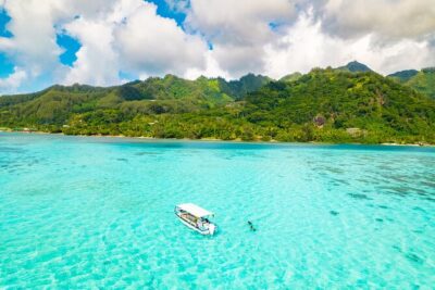 Lagoon and Marine Wildlife Tour in Moorea