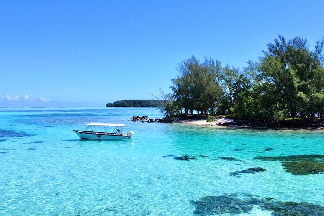 Lagoon and Marine Wildlife Tour in Moorea - Fruit and local refreshments on board